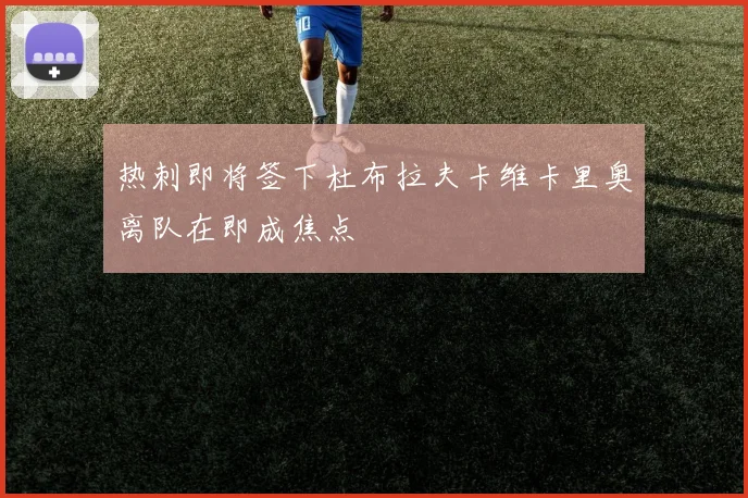热刺即将签下杜布拉夫卡维卡里奥离队在即成焦点