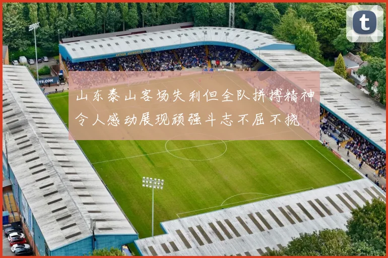 山东泰山客场失利但全队拼搏精神令人感动展现顽强斗志不屈不挠